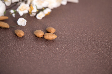 Happy Easter. Minimal composition made with almond blossom and almonds with bright brown background and space for text. Greeting card concept for spring, easter, mother's day festive moments.