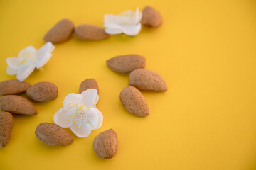 Happy Easter. Minimal composition made with almond blossom and almonds on yellow background with space for text. Greeting card concept for spring, easter, mother's day festive moments.