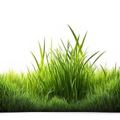 Obraz premium Green grass field isolated on white background, for montage product display. with clipping path Generativ AI
