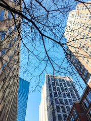 Fototapeta premium city skyscrapers