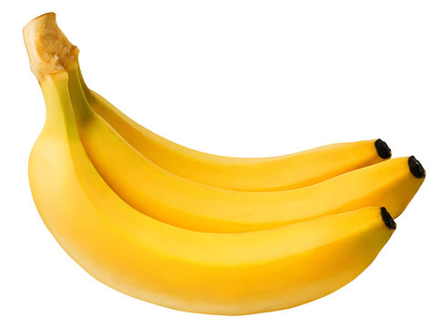 Bunch of barely ripe yellow ripe bananas isolated on transparent background cutout PNG