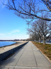 boardwalk on the beach