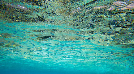 Tranquil underwater scene with copy space