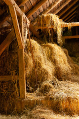 Landwirtschaft, Bauernhof, Scheune mit Heu und Stroh