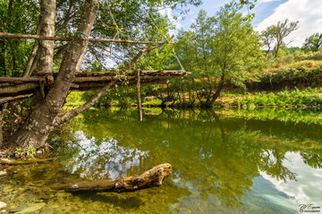 A trampoline tree landscape with a river