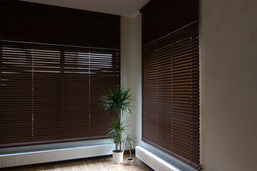 Wooden blinds on large windows in the interior. Living room with armchair and houseplants near...