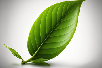 Fototapeta premium isolated green tea leaf on a white background. Generative AI