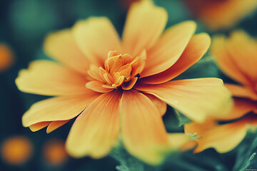 Obraz na płótnie Canvas Marigold Flowers, Illustration, Generative AI