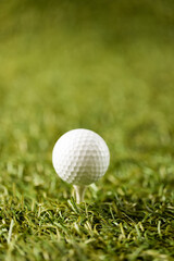 Close up of white golf ball on golf tee on grass with copy space