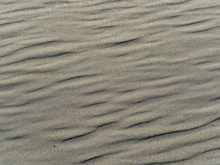 Fototapeta premium sand texture background