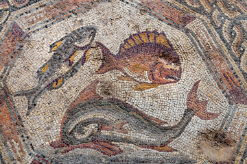 Fish on fragment of Lod Mosaic, famous Roman mosaic floor in Lod town in Israel, displayed in Shelby White and Leon Levy Lod Mosaic Center. Mosaic depicts land animals, fish and two Roman ships.