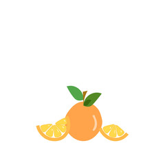 Orange fruit vector illustration isolated on white background. 