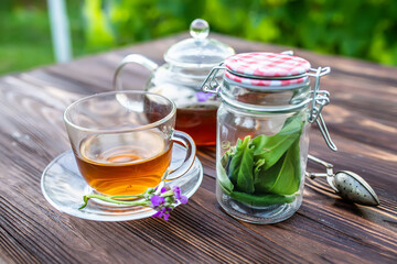 Keeping fresh medicinal herbs in the jar. Matthiola incana, Brompton stock, common stock, hoary stock, ten-week stock, and gilly-flower tea with fresh quotes, which can give an antiseptic effect