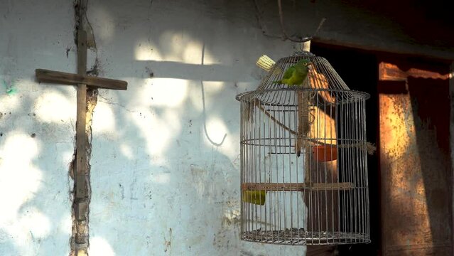 loro 