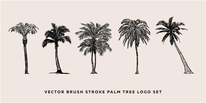 Brush Strokes Black PACK