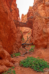 Natural Bridges in a Red Rock Canyon