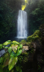 Tiger waterfalls. Costa Rica rainforest