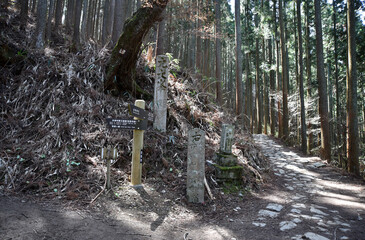 春の吉野山　奥千本の道標　奈良県吉野郡吉野町