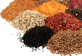 Variety of Dried Spice - Isolated