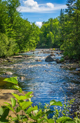 Rapid River Water flowing in Michigan Forest Scenic