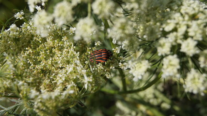 Mit Farbe durch die Welt