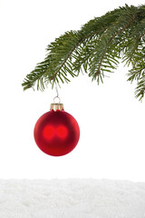 Red shiny christmas decorative ball  hanging on fit tree branch isolated on white