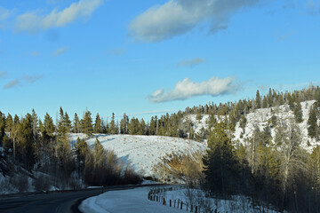 Colorado Mountain Landscape