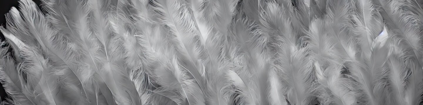 Soft white feathers - bright and vibrant feathers in a panoramic extra wide banner image by generative AI