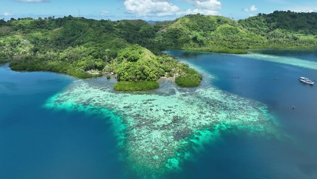 Shallow, healthy coral reefs fringe a lush island in the Solomon Islands. This beautiful, tropical country is home to spectacular marine biodiversity and many historic WWII sites.