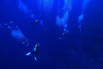 Fototapeta na wymiar group of divers depth bubbles dive