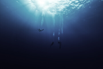group of divers depth bubbles dive