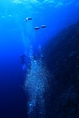 Fototapeta na wymiar bubbles diving blue abstract underwater background