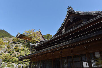 Obraz premium 春の善峯寺 観音堂と本坊 京都市西京区
