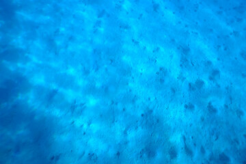 texture bottom sea abstract background underwater