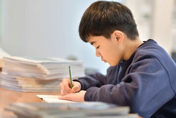 参考書と問題集の勉強に集中する小学5年生