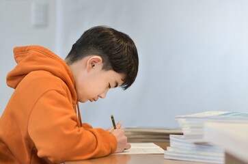 参考書と問題集の勉強に集中する小学5年生