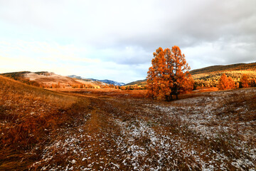 landscape mountain altai, panorama scenery freedom, autumn nature of siberia