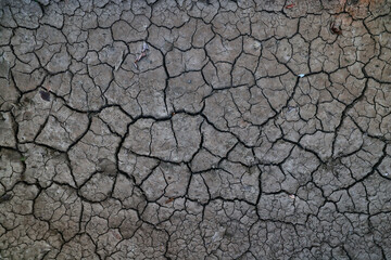 cracks on the ground desert texture background earth climate ecology