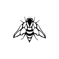 vector illustration of a bee insect