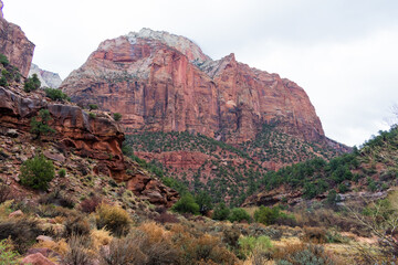 Expansive Zion