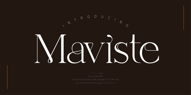 Luxury alphabet letters font. Classic Lettering Minimal Fashion Designs. Typography serif simple wedding logo fonts and number. vector illustration