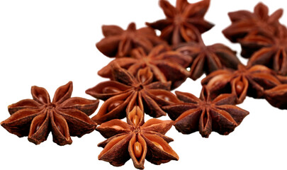 Star Anise - Isolated