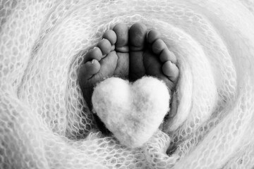 Knitted heart in the legs of a baby. Soft feet of a new born in a wool blanket.