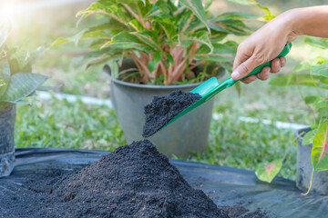 Preparation of soil mixture from fertile compost, humus and vermiculite on  black garbage bag floor in garden. Mixing the soil components for the preparation of the substrate for transplanting plants.