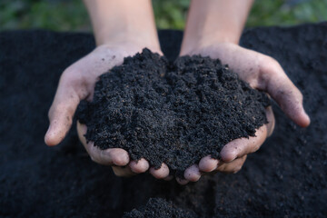 Hands holding abundance soil for agriculture or preparing to plant  Testing soil samples on hands...