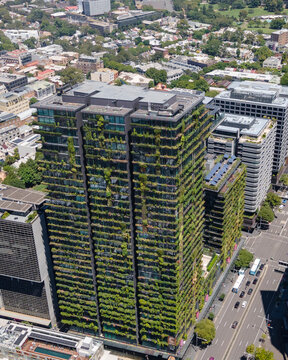 Aerial drone view of Central Park in Chippendale, Sydney, New South Wales, Australia showing the building with its vertical hanging gardens 