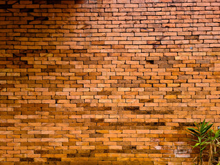 Red brick wall with dull and faded color