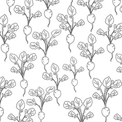 doodle seamless pattern with radish, radish on white with black lines. Vector spring background for a seedling store