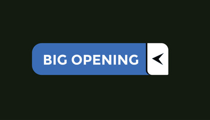 Big opening button web banner templates. Vector Illustration