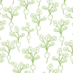doodle seamless pattern with radish, radish on white with green lines. Vector spring background for a seedling store